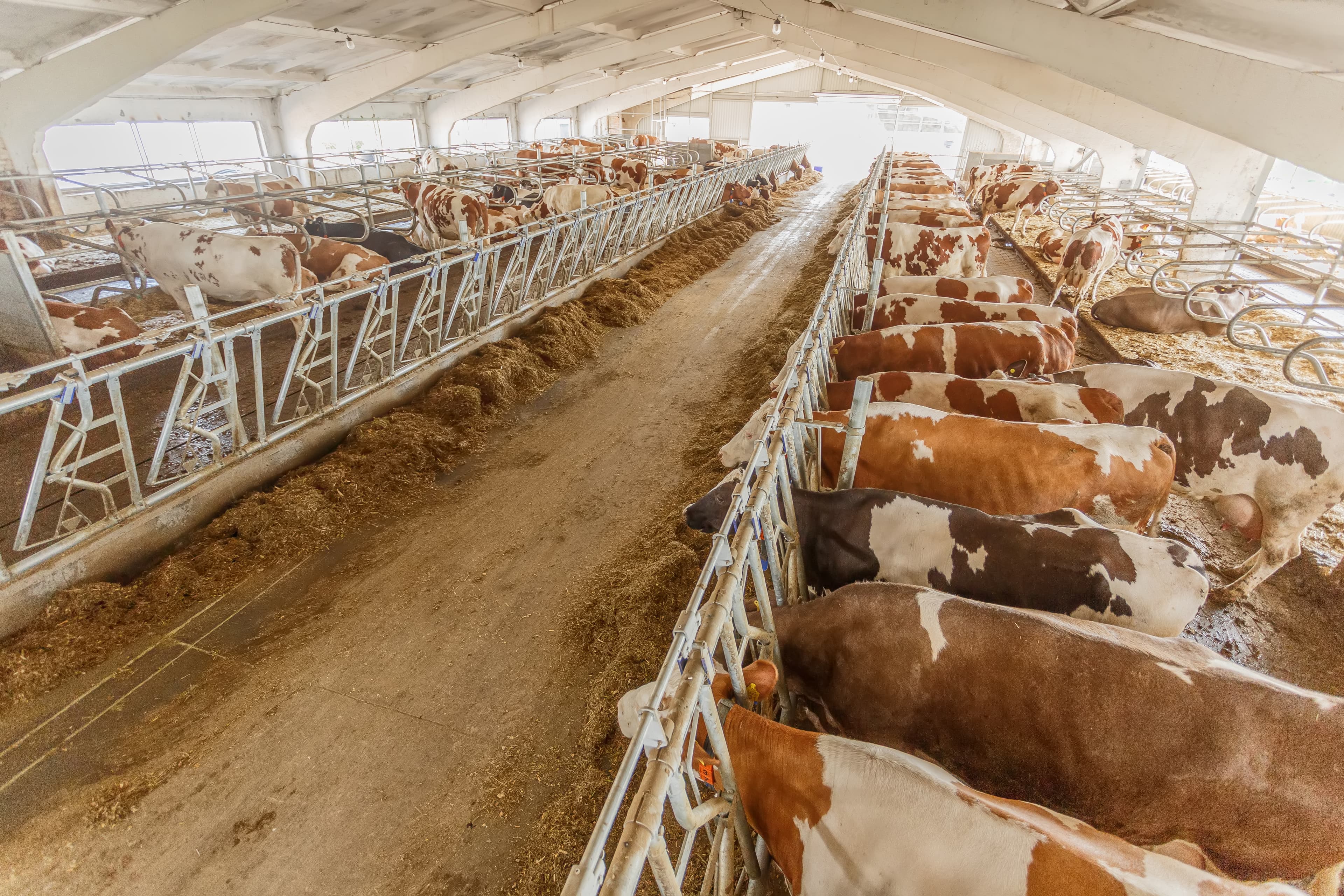 Agricultural Business