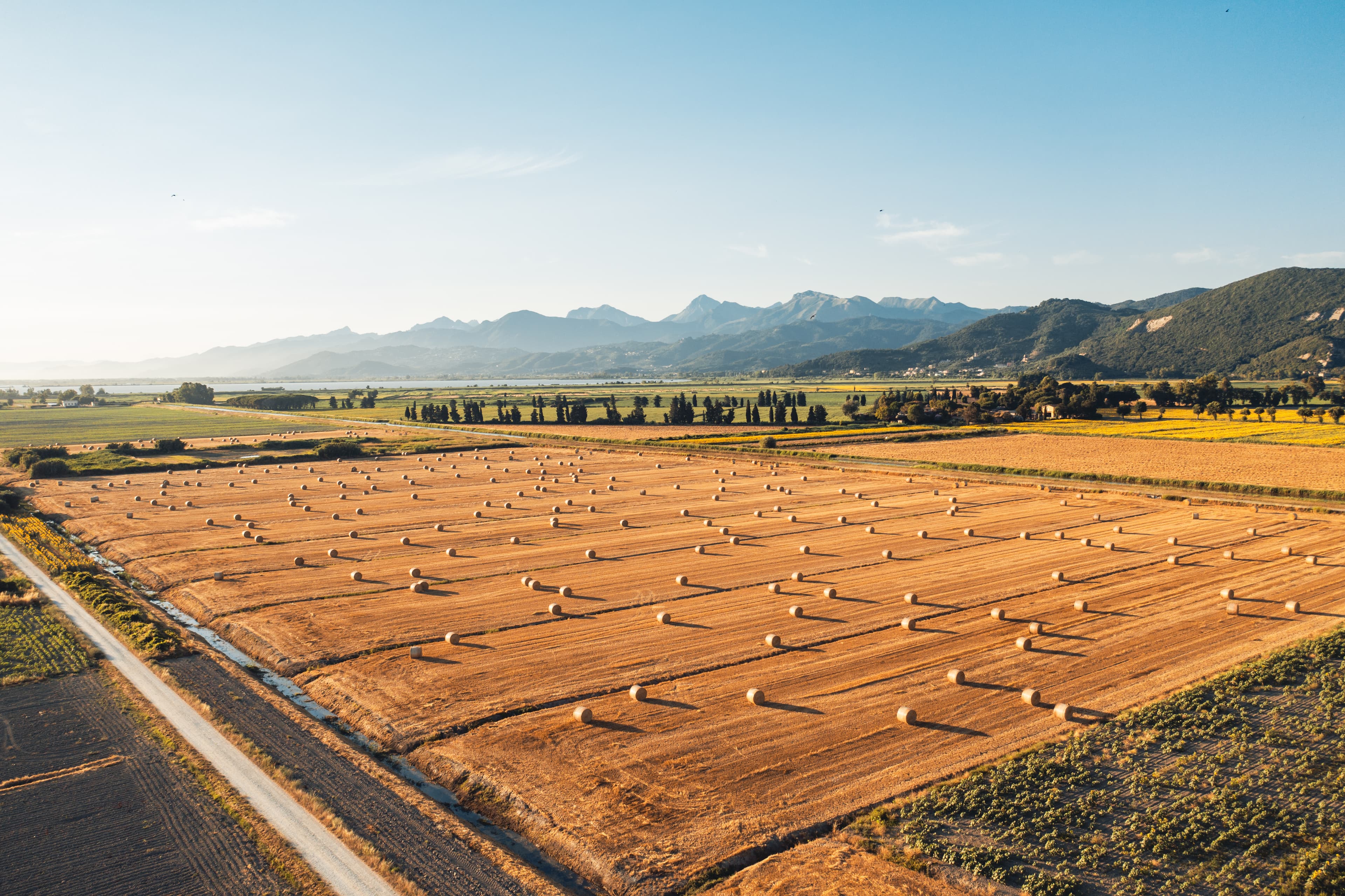 Energy & Sustainability