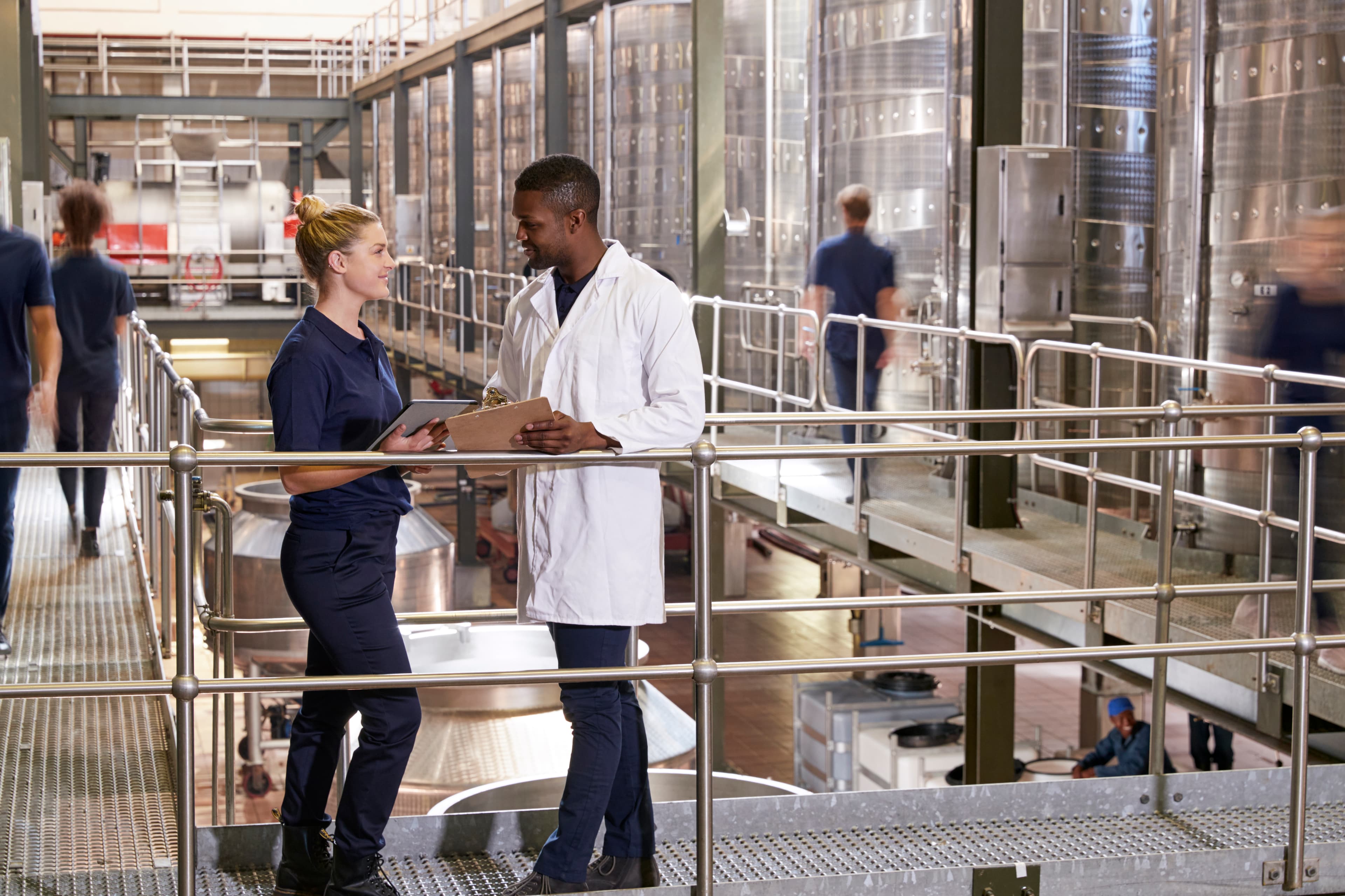 Staff in modern winemaking factory